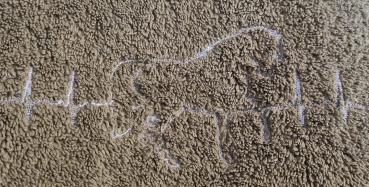 Preview: Vollstickdatei EKG-Linie Pferd